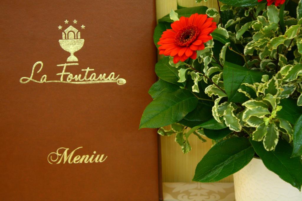 Pension La Fontana Baia Mare Exteriér fotografie
